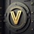 vires in memeris Logo